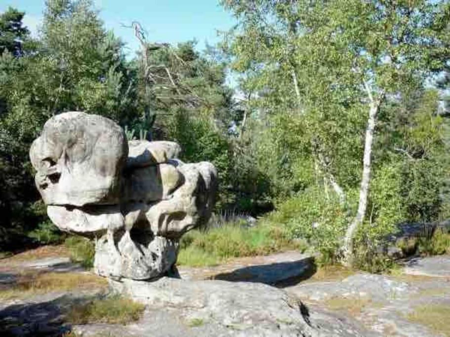 La Pause Allongee - Fontainebleau Hypercentre Exterior foto